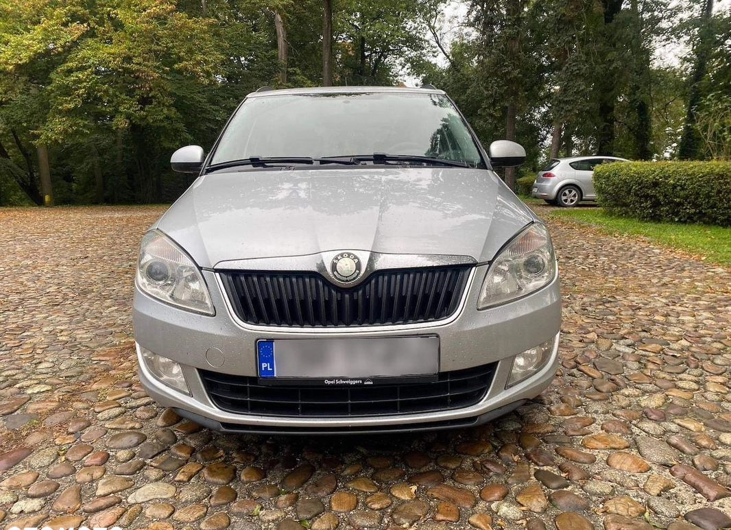 Skoda Fabia cena 11000 przebieg: 203000, rok produkcji 2011 z Biała małe 56